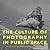 The Culture of Photography in Public Space by Anne  Marsh