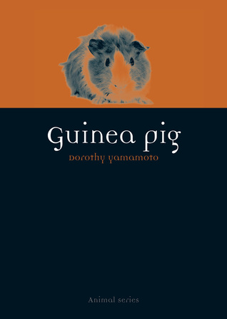 Guinea Pig (Animal)