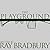 The Playground by Ray Bradbury
