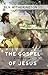 The Gospel of Jesus: A True Story