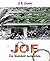 Joe: Die Wahrheit dazwischen