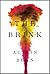 The Brink: Stories