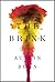 The Brink: Stories