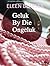 Geluk by die ongeluk by Eleen Blaeser