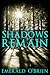 Shadows Remain (Darkness Follows Duet, #2)