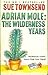 Adrian Mole: The Wilderness Years (Adrian Mole, #4)