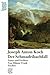 Joseph Anton Koch. Der Schmadribachfall. Natur und Freiheit.