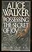 possessing the secret of joy by Alice Walker