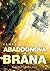 Abaddonova brána (Expanse, #3)