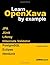 Learn OpenXava by example