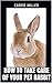 How to Take Care of Your Pet Rabbit by Carrie Miller