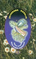Zvjezdana košulja