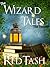The Hermit (The Wizard Tale...
