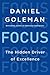 Focus by Daniel Goleman