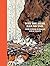 Why the Bear Has No Tail: And Other Russian Fairy-Tales