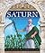 Saturn: God of Sowing and Seeds (Roman Mythology)