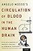 Angelo Mosso's Circulation of Blood in the Human Brain