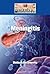 Meningitis (Diseases and Disorders)