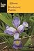 Basic Illustrated Medicinal Plants (Basic Illustrated Series)