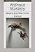 Without Mastery: Reading and Other Forces (The Frontiers of Theory)