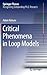 Critical Phenomena in Loop Models (Springer Theses)