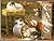 Cats by Michelle Lovric
