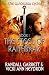 The Steel of Raithskar (The Gandalara Cycle Book 1)