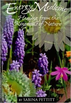 Energy Medicine: Healing from the Kingdoms of Nature (Paperback)