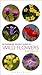 Pocket Guide To Wild Flowers