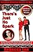 There's Just No Spark (Forbidden Attraction Secrets For Men, #2)