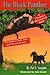 The Black Panther (Barney The Bear Killer #2)