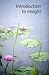 Introduction to Insight Meditation by Ajahn Sucitto