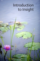 Introduction to Insight Meditation
