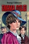 Enigma Otiliei