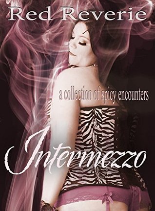 Intermezzo: A Collection of Spicy Encounters (Kindle Edition)