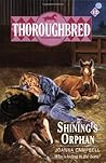 Shining's Orphan (Thoroughbred, #12)