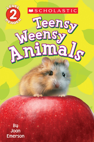 Teensy Weensy Animals (Paperback)