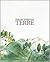Terre
