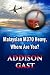 Malaysian MH370 Heavy, Wher...