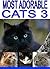 Most Adorable Cats 3