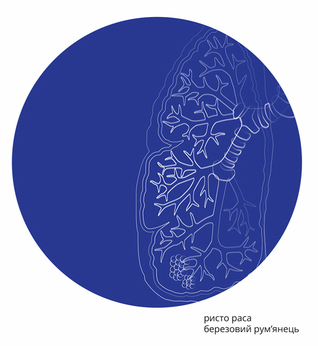 Березовий рум янець