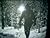 The Snow Walker
