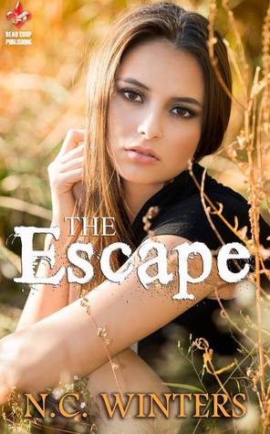 The Escape (Kindle Edition)