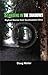Standing in the Shadows : Bigfoot Stories from Southeastern Ohio