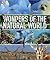 Wonders of the Natural World