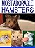 Most Adorable Hamsters