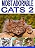 Most Adorable Cats 2