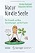 Natur für die Seele: Die Umwelt und ihre Auswirkungen auf die Psyche