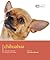 Chihuahua: Pet Book (Dog Expert)