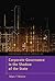 Corporate Governance in the Shadow of the State (Contemporary Studies in Corporate Law)